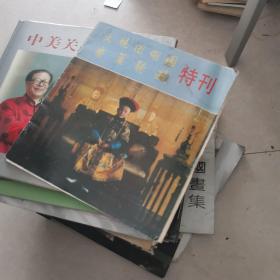 火烧圆明园垂帘听政特刊