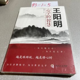 王阳明心学的智慧（32开平装）