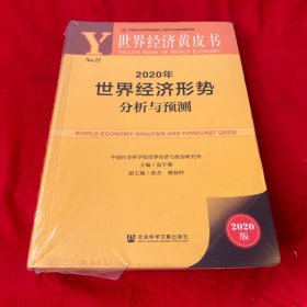 世界经济黄皮书：2020年世界经济形势分析与预测，未来封，以图片为准