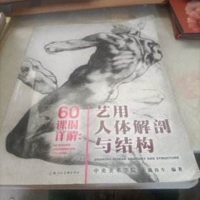 60课时详解：艺用人体解剖与结构