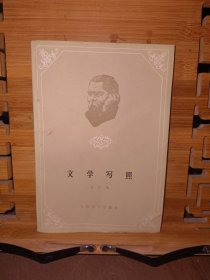 文学写照