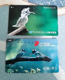 日本磁卡日本电话卡 冠鱼狗 珍稀鸟类