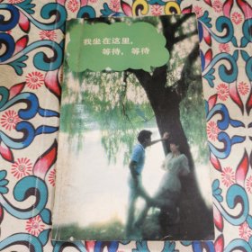 我坐在這里，等待，等待