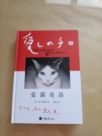 爱猫奇洛