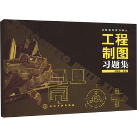 工程制图题集 大中专理科机械 作者 新华正版