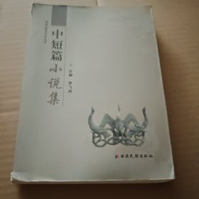 鄭和故里文化叢書(中短篇小說集)