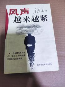 风声越来越紧:中国当代现实小说