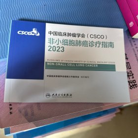 非小细胞肺癌诊疗指南2023