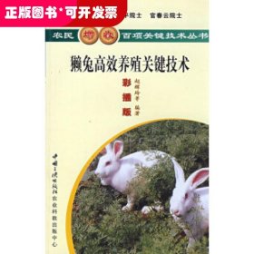 獭兔高效养殖关键技术
