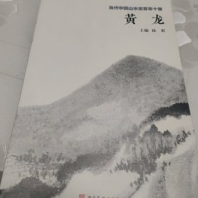 当代中国山水画青年十家（下）黄龙