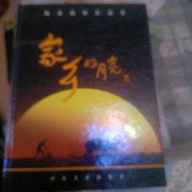 陈进摄影作品集，家乡的月亮，代签名