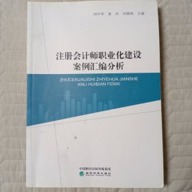 注册会计师职业化建设案例汇编分析