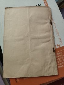 中毒性休克的机理及抢救措施（文献综述）乐清县人民医院 叶公茂 著