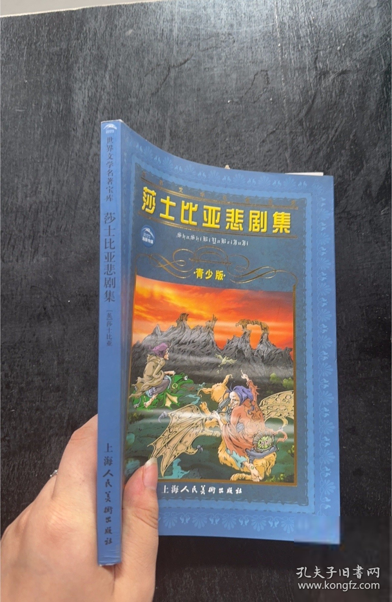 世界文学名著宝库：莎士比亚悲剧集亦点；莎士比亚9787532232574