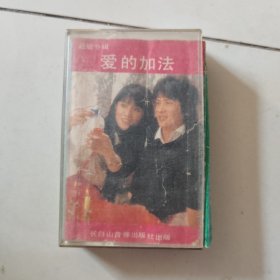 （磁带）爱的加法，赵敏专辑
