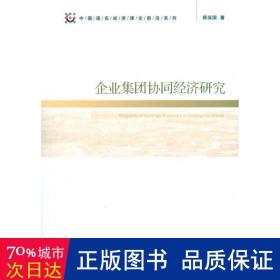 企业集团协同经济研究