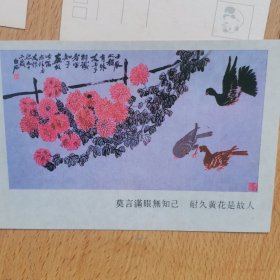 明信片，四君子（梅兰竹菊）十枚全