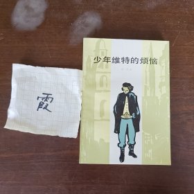 少年维特的烦恼
