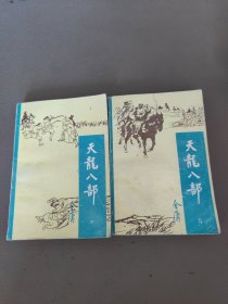 天龙八部四五，两本合售