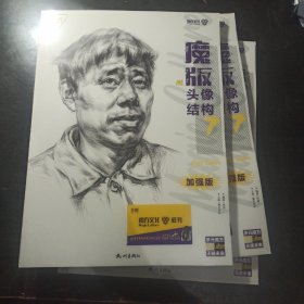 2023魔版头像结构7 魔方文化肖迪素描书五官结构大关系步骤头带手