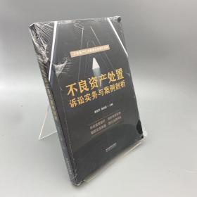 不良资产处置诉讼实务与案例剖析