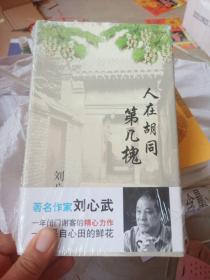 人在胡同第几槐