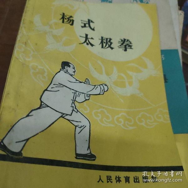 杨式太极拳