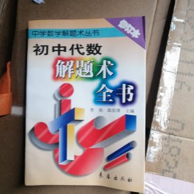 初中代数解题术全书