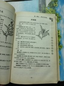 常用中草药图谱