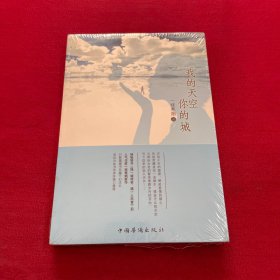 我的天空你的城