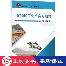 矿物加工生产实指导 冶金、地质 晏全香 新华正版