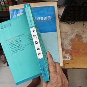 中医筋伤学