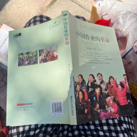 中国教师高效教学指导用书：中国作业的革命