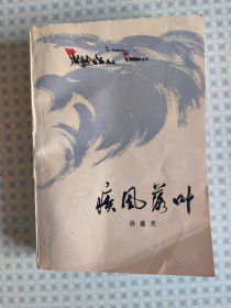 疾风落叶（经典红色文学）