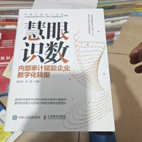 慧眼识数 内部审计赋能企业数字化转型