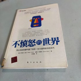 不愤怒的世界