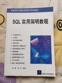 SQL 实用简明教程  正版库存图书