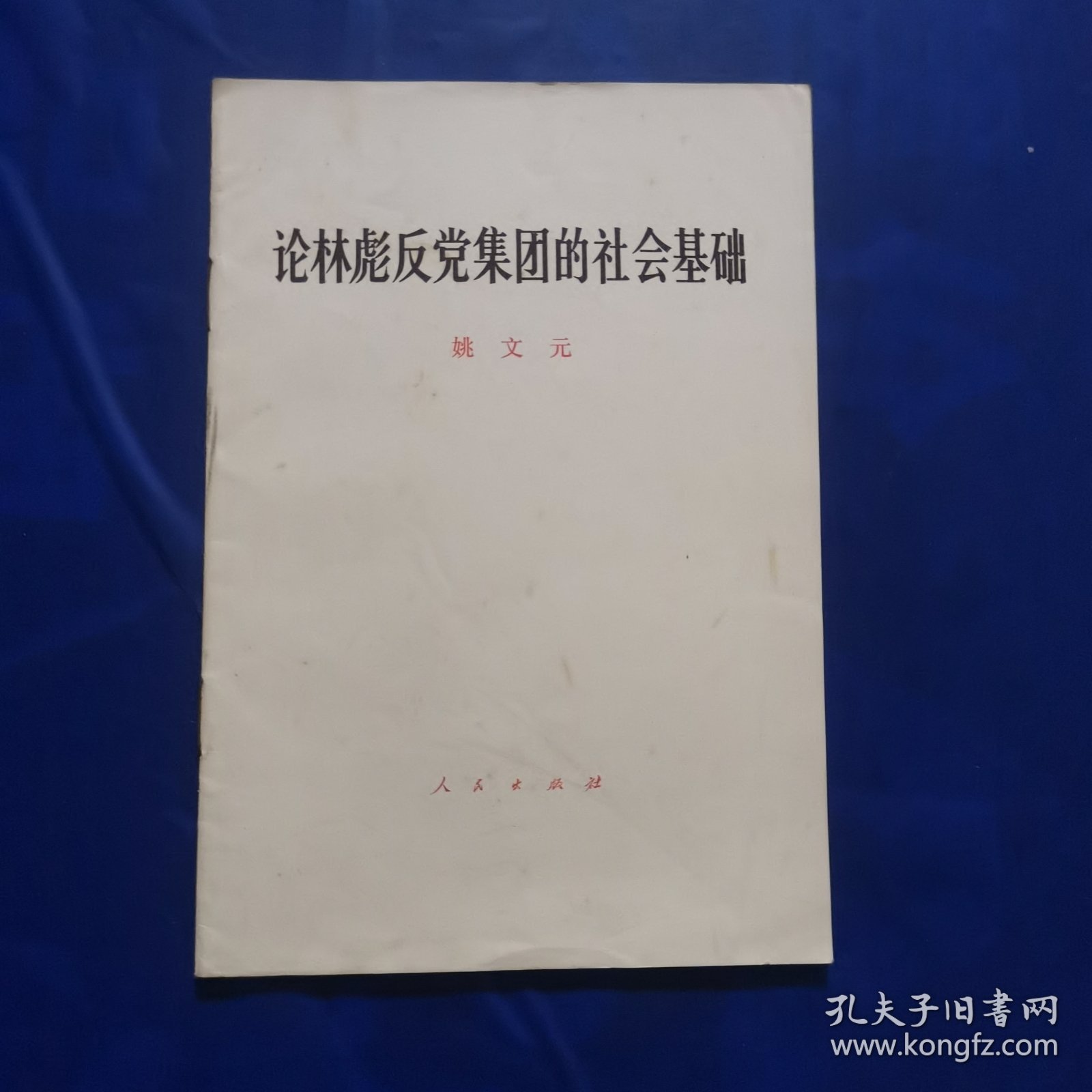 论林彪反党集团的社会基础