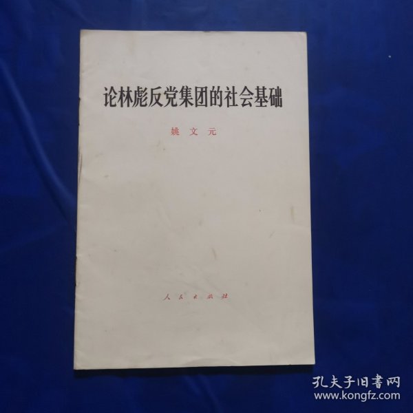 论林彪反党集团的社会基础