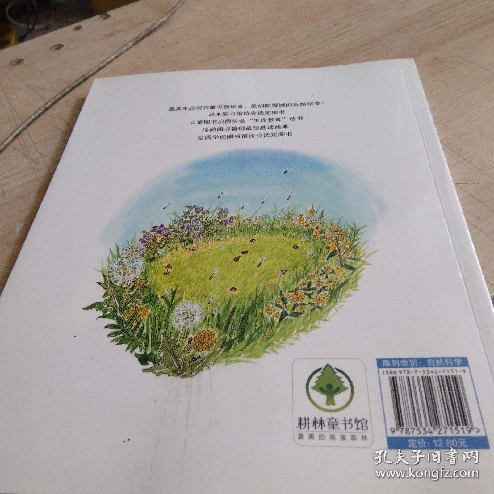 虫虫杯足球大赛