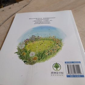 虫虫杯足球大赛
