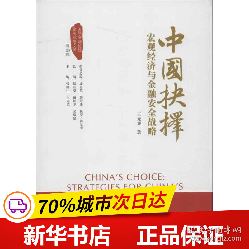 保正版！中国抉择:宏观经济与金融安全战略9787504964137中国金融出版社王元龙