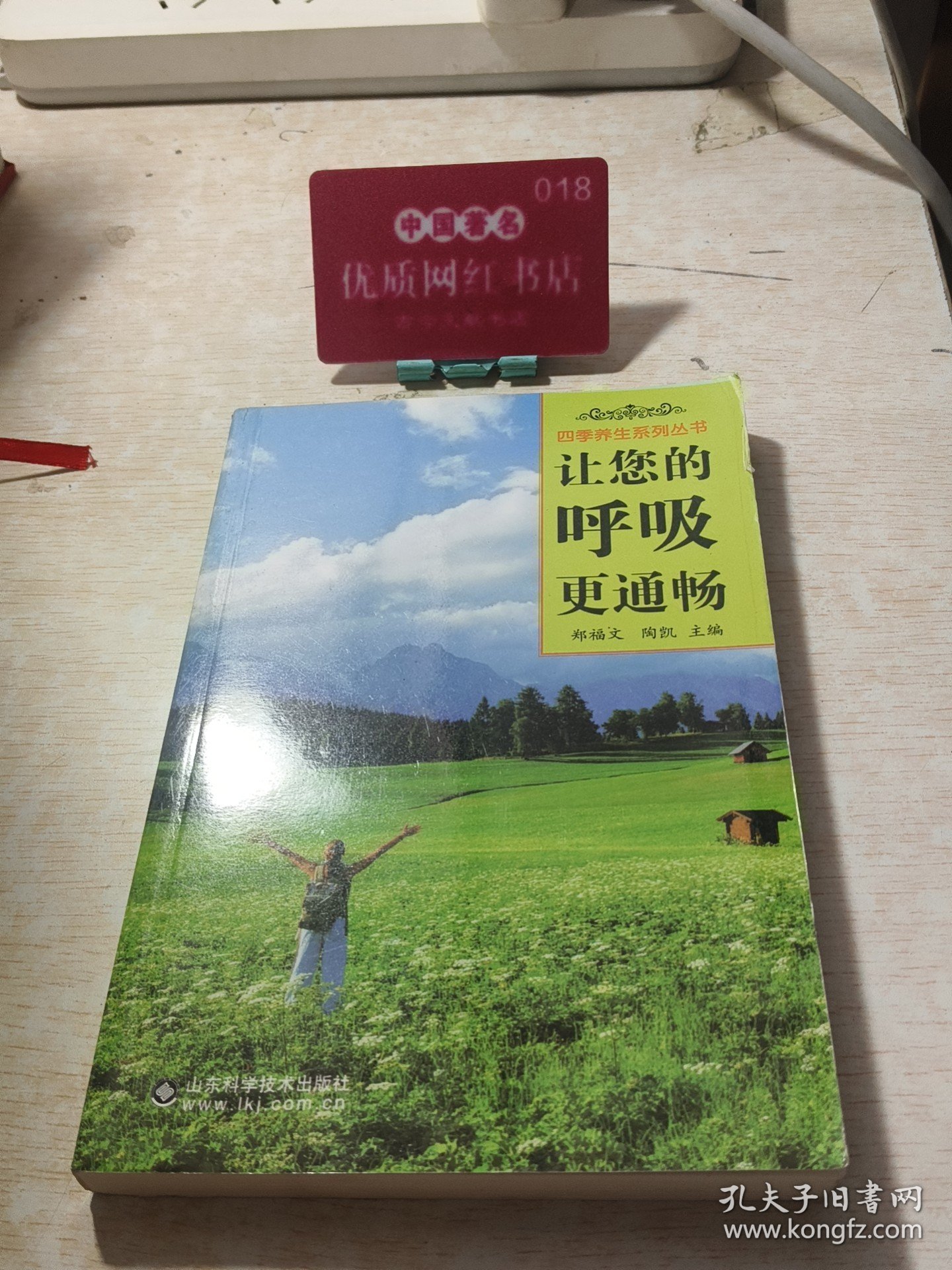 四季养生系列丛书：让您的呼吸更通畅