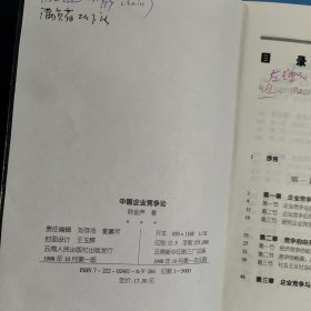 中国企业竞争论