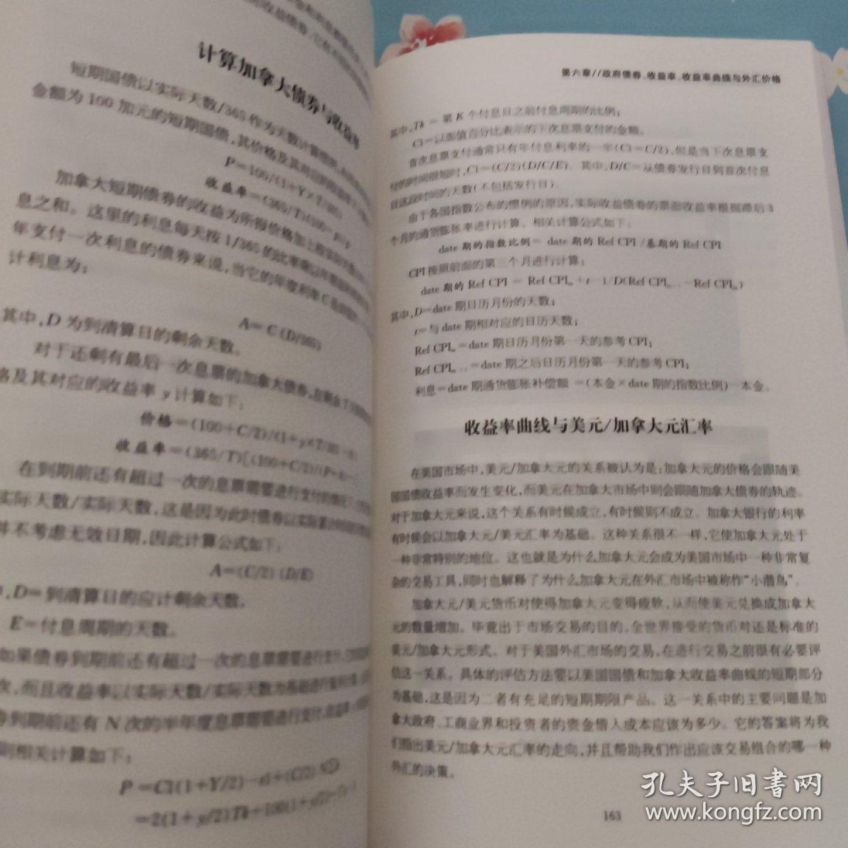 东航金融·衍生译丛·揭秘外汇市场：技巧、估值与策略