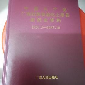 中国共产党广西壮族自治区上思县组织史资料（1926.3一1987.10）