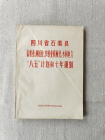 四川省石渠县畜牧业种植业 农牧业机械化水利电力 八五计划和十年规划