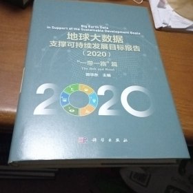 地球大数据支撑可持续发展目标报告（2020）：“一带一路”篇