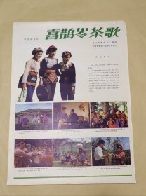 喜鹊岭茶歌 完整一张：时间应为1981年前后，珠江电影制片厂，中国电影公司发行，2开本，98品）126