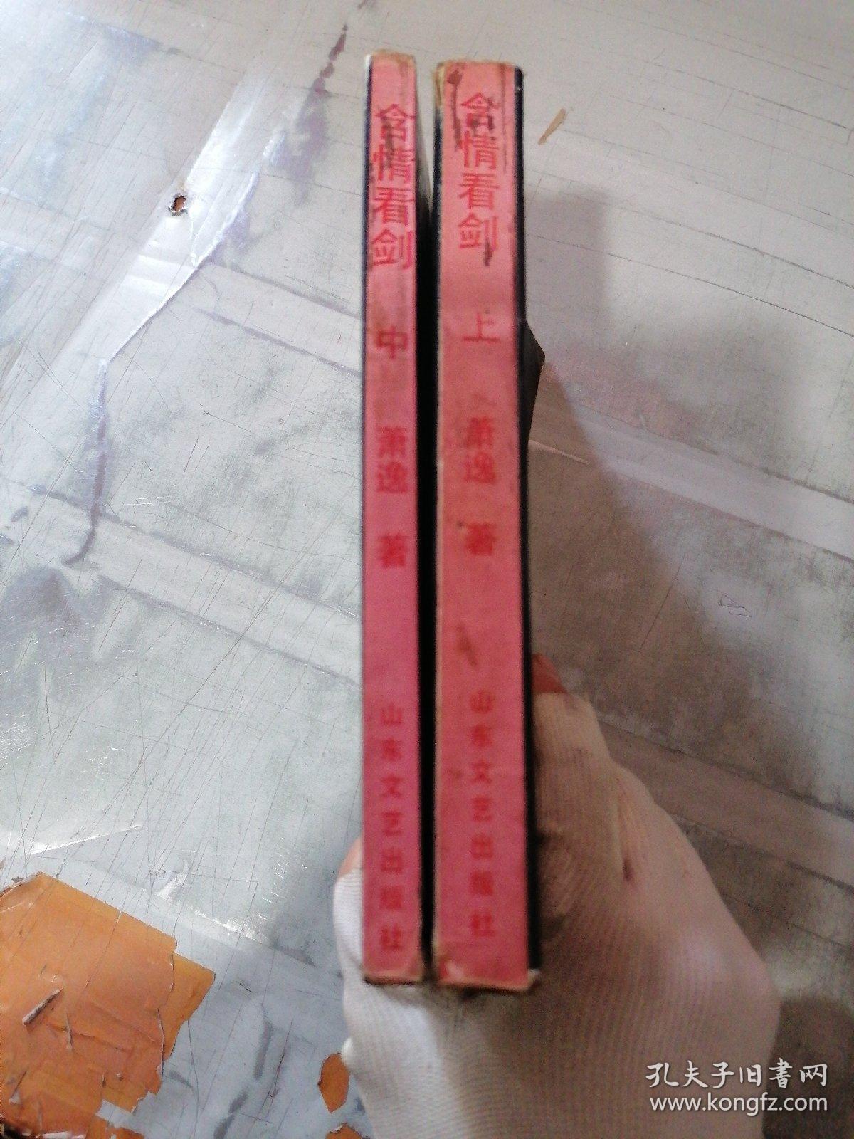 含情看剑 上中  共2本（有水印）